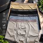 Premium Luxury Ice Silk Comfort Men’s Underwear (Set of 4)