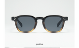 Retro Thick Oval Frame Sunglasses