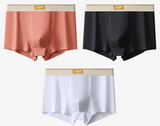 Plus Size Antibacterial Cotton Men's Underwear (4 Pieces)