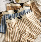 New Striped Soft Cotton Underwear (set of 04)