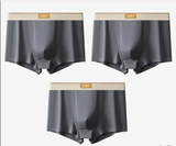 Plus Size Antibacterial Cotton Men's Underwear (4 Pieces)