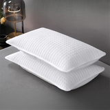 Velvet Dirt-Resistant Washable Pillow Cover