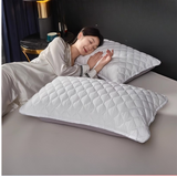 Velvet Dirt-Resistant Washable Pillow Cover