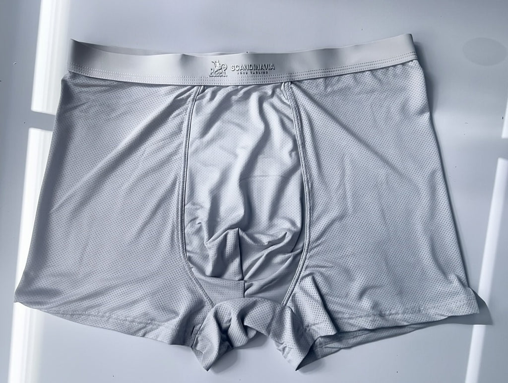 Premium Luxury Ice Silk Comfort Men’s Underwear (Set of 4)