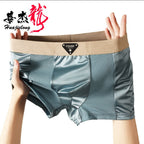 Comfort Fit Silk Breathable Men’s Underwear (set of o4)