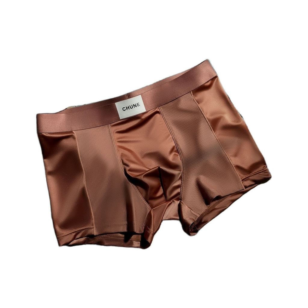 Luxury Mesh Satin Ice Silk Underwear( set of 3)