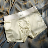 Luxury Mesh Satin Ice Silk Underwear( set of 04)