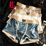Zero-Friction Solid Ice Silk Underwear( set of 04)
