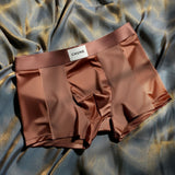 Luxury Mesh Satin Ice Silk Underwear( set of 04)