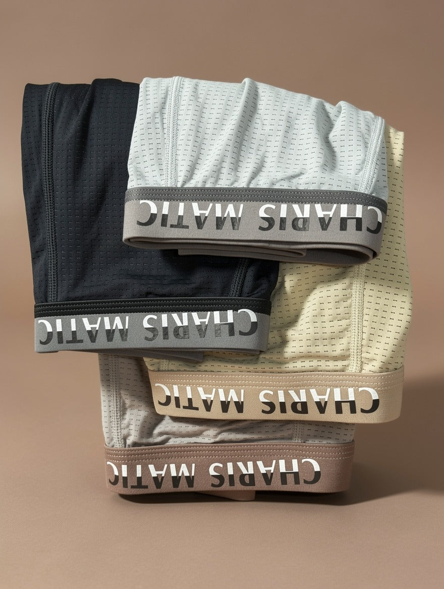 Ice Silk Breathable mesh Underwear ( Set of 5  )