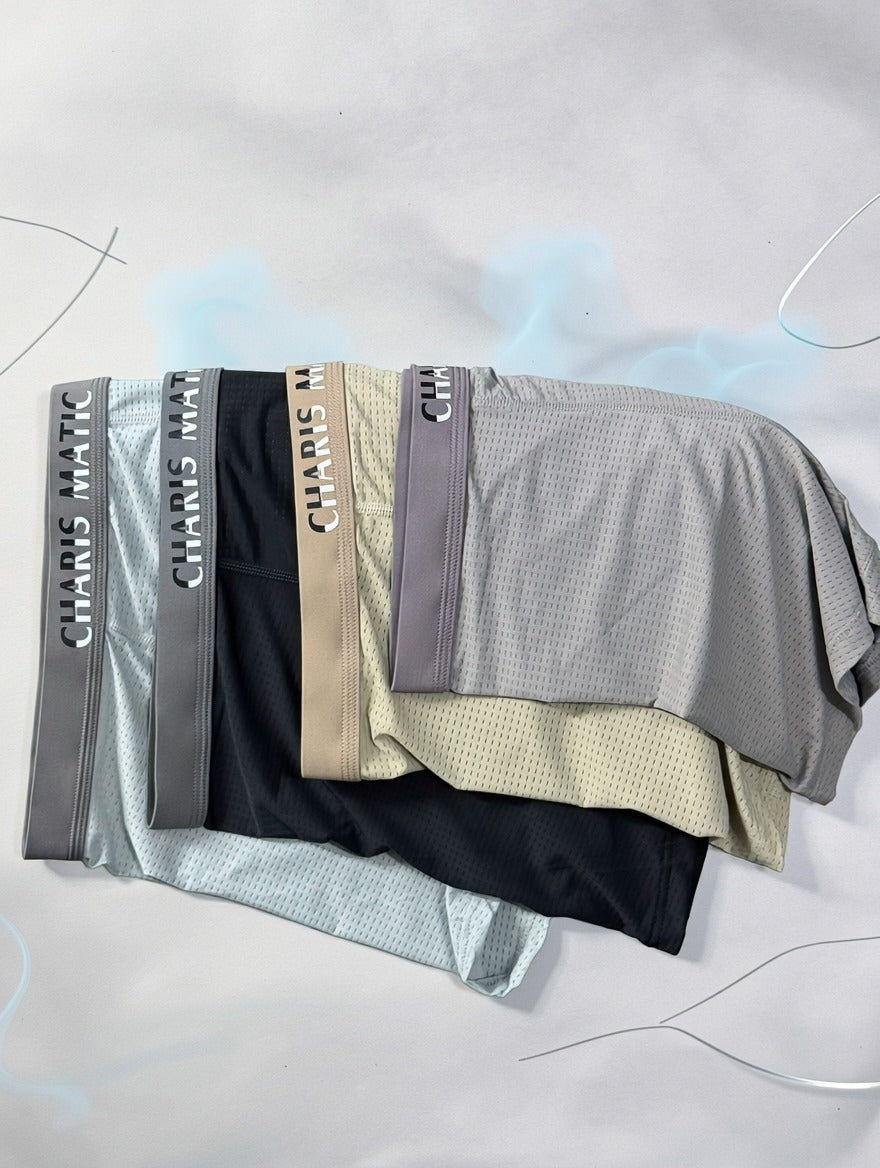 Ice Silk Breathable mesh Underwear ( Set of 5  )