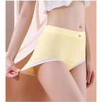 Polyester Soft Stretch Hip-Lift Panty(Set of 03)