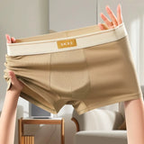 Plus Size Antibacterial Cotton Men's Underwear (4 Pieces)