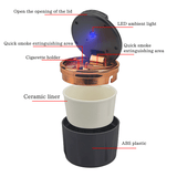 Luxury Car Carbon Ashtray