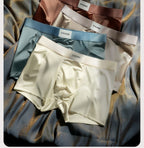 Luxury Mesh Satin Ice Silk Underwear( set of 3)