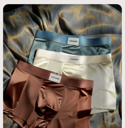 Luxury Mesh Satin Ice Silk Underwear( set of 3)