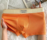 Threaded Contrast Color Men’s Boxer( Set of 04)