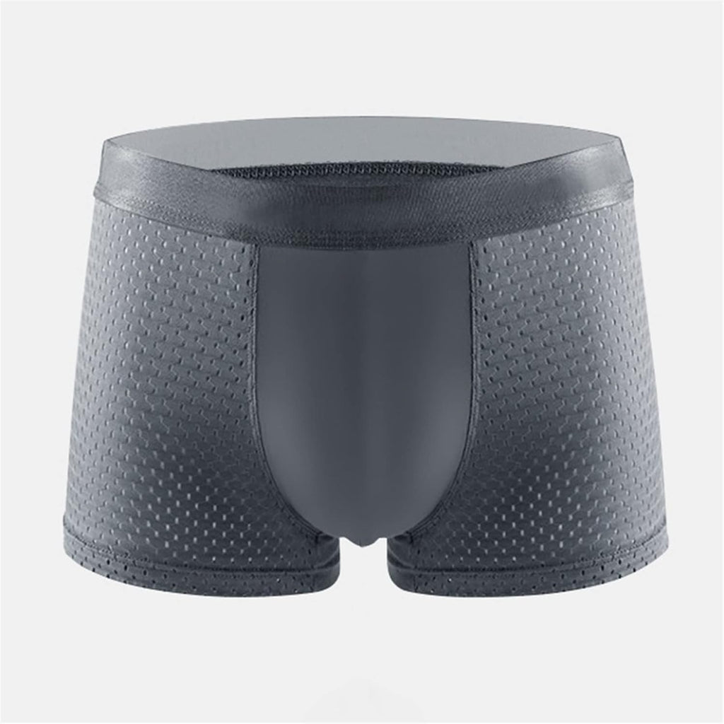 Ice Silk Breathable mesh Underwear ( Set of 5  )