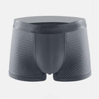 Ice Silk Breathable mesh Underwear ( Set of 5  )