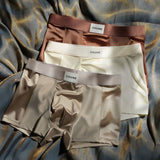 Luxury Mesh Satin Ice Silk Underwear( set of 04)