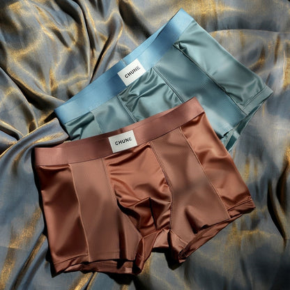Luxury Mesh Satin Ice Silk Underwear( set of 3)