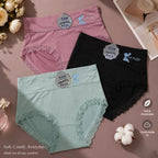 Premium Ribbed Lace Comfort Panty ( Set of 3 )