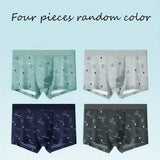 Men's Fashion Versatile Boxer (Set of 4)