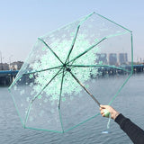 Transparent Tri-fold Floral Umbrella