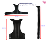 Full Back Posture Support Belt (4324480483362)