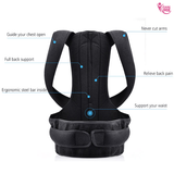 Full Back Posture Support Belt (4324480483362)